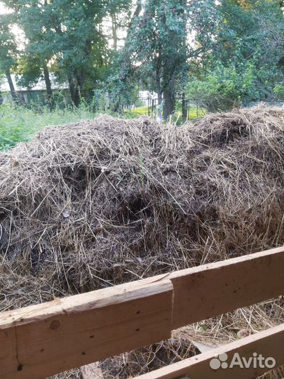 Навоз, старое сено
