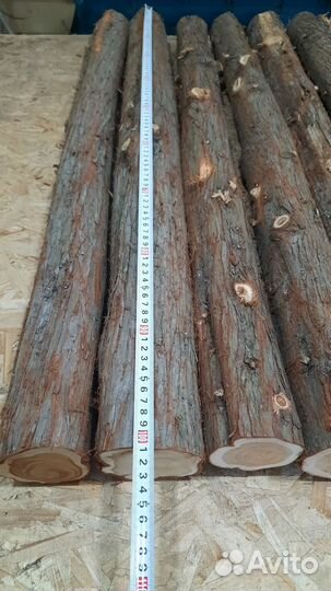 Можжевельник