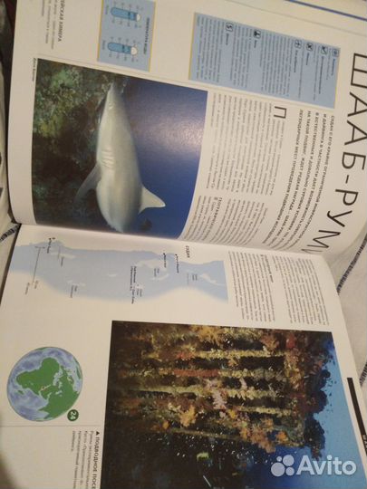 Дайвинг полная энциклопедия. Монти Холлс