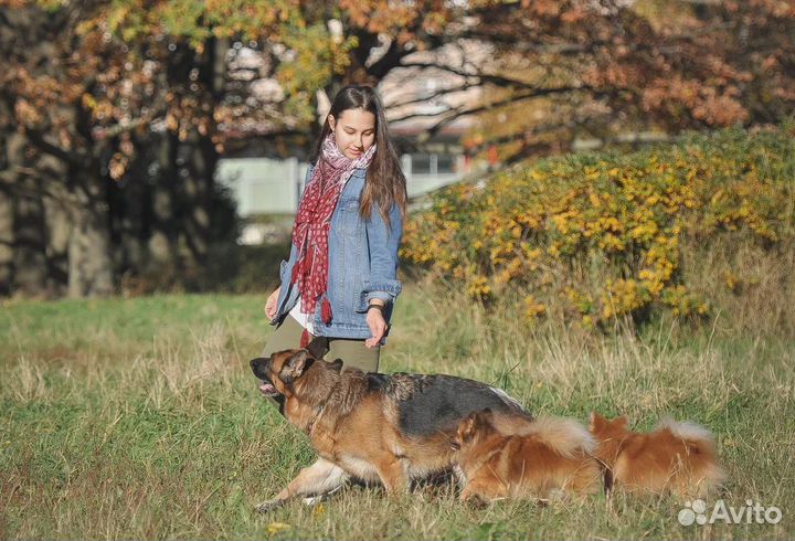 Кинолог с выездом / дрессировка собак