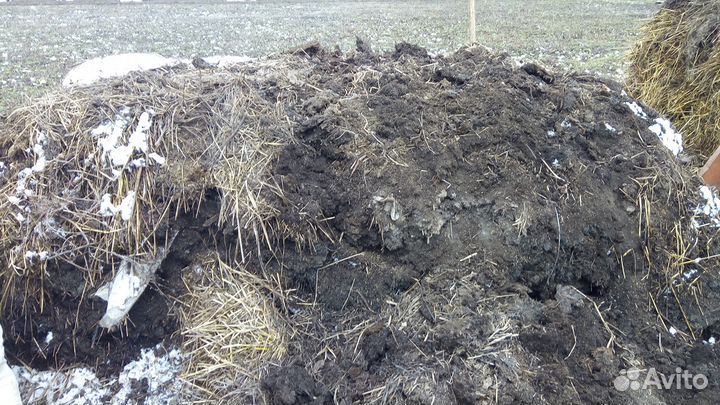 Продаю все мешками коровий, конский перегной, торф