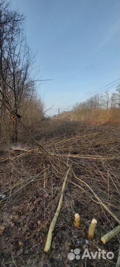 Покос травы, расчистка участка от поросли