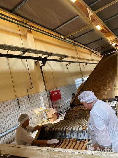 Укладчик-упаковщик