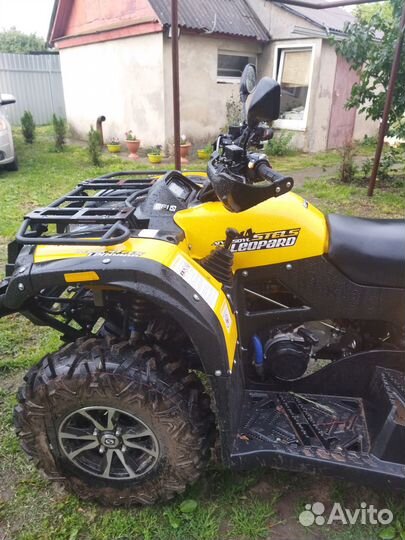 Снегоболотоход