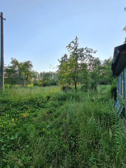 Дача 20 м² на участке 12 сот.