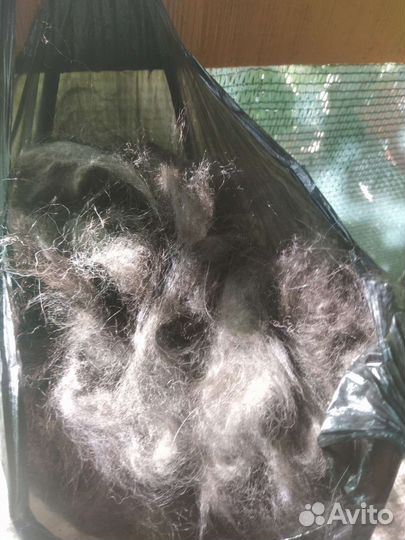 Собачья шерсть
