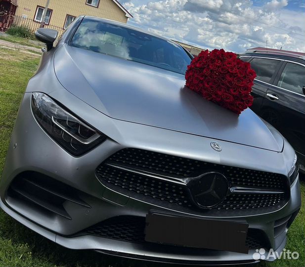 Фотосессия, авто на свадьбу, трансфер