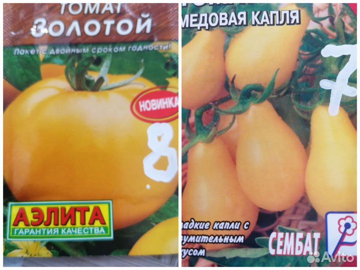 Рассада помидор