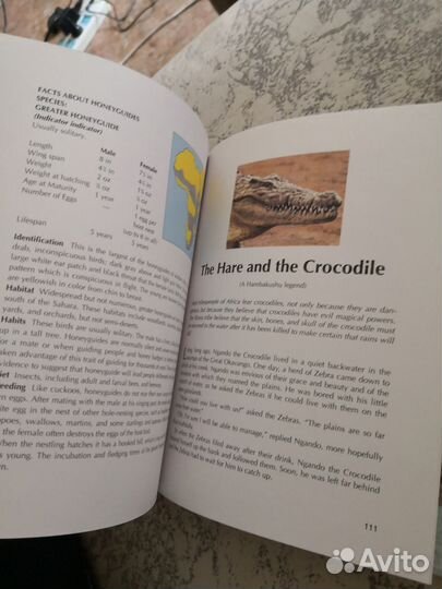 Про животных в Африке на английском языке