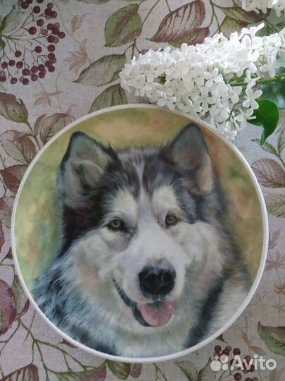 Тарелки Кузнецова И.Е, фарфор