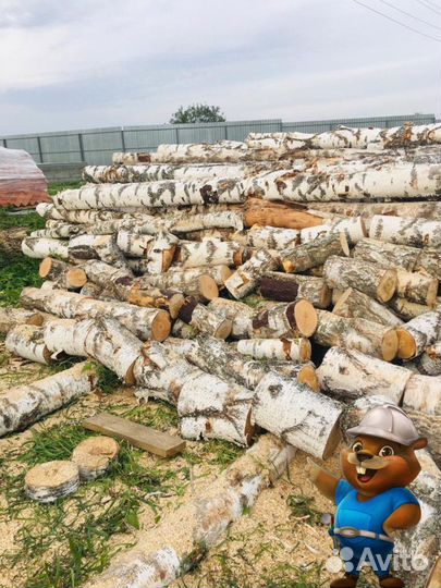 Дрова березовые доставка