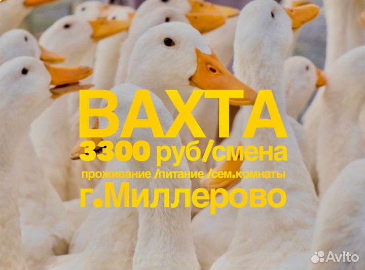 Фасовщик вахтой с проживанием/питанием