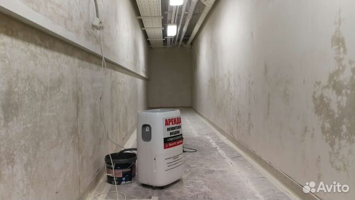 Осушитель воздуха Ballu70 для сушки подвалов