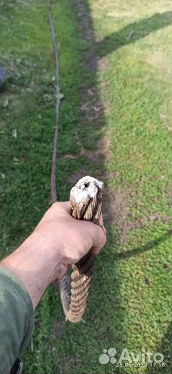 Канат стальной