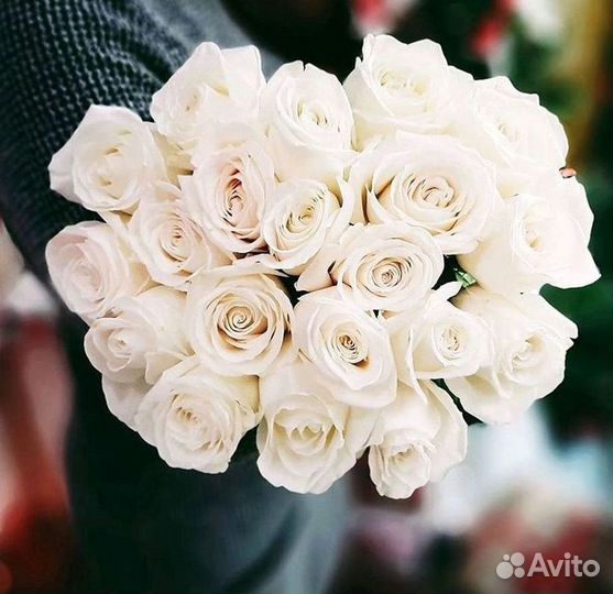 Высокие розы Гигантские Розы 150 160 170 180 190см