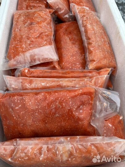 Мясо Семги С/М