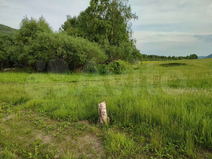 Участок 7,8 га (СНТ, ДНП)