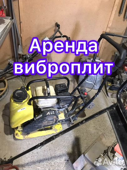 Аренда прокат виброплиты