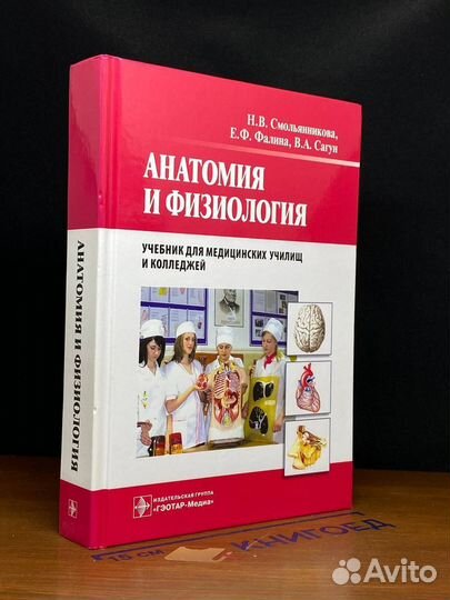 Анатомия и физиология