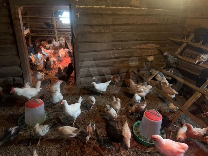 Участок 58 га (СНТ, ДНП)