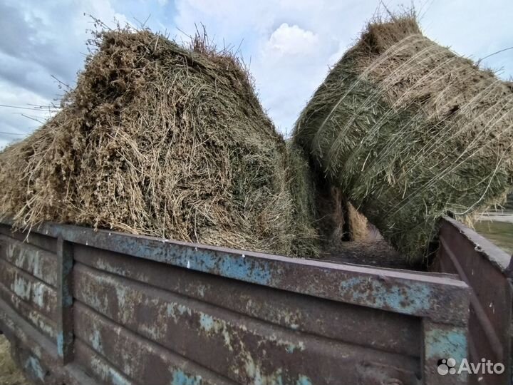 Сено и солома в рулонах