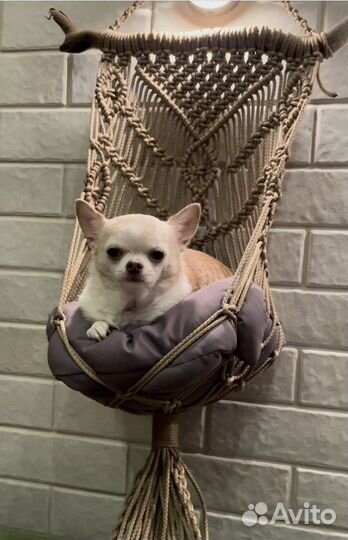 Лежанка/гамачок для кошки