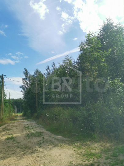 Участок 21,4 сот. (СНТ, ДНП)