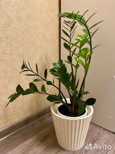 Горшок для комнатных растений 5.8л