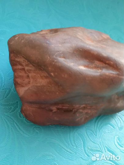 Доисторическая окаменелость