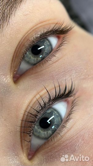 Обучение по ламинированию ресниц