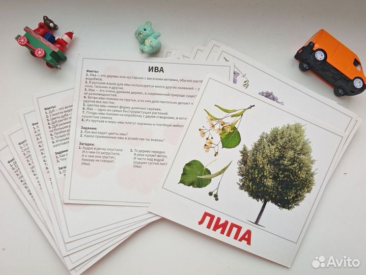 Развивающие игрушки