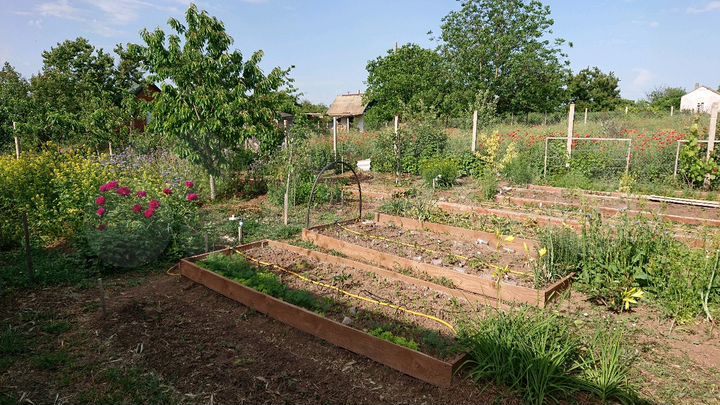 Дача 36 м² на участке 10 сот.