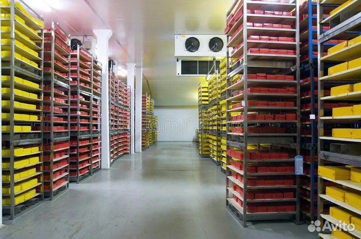 Камера созревания сыра