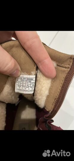 Сапоги женские ugg