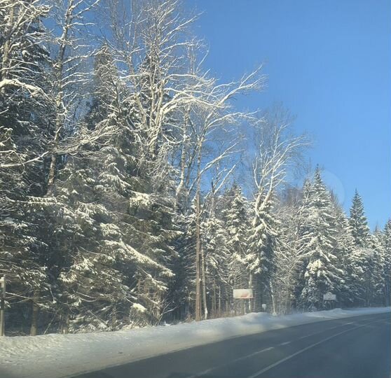 Участок 100 сот. (СНТ, ДНП)