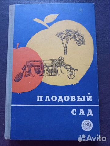 Плодовый сад. 1969г. (пс4)