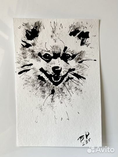 Шпиц, терьер, питбуль, мопс, бигль. Перо и тушь
