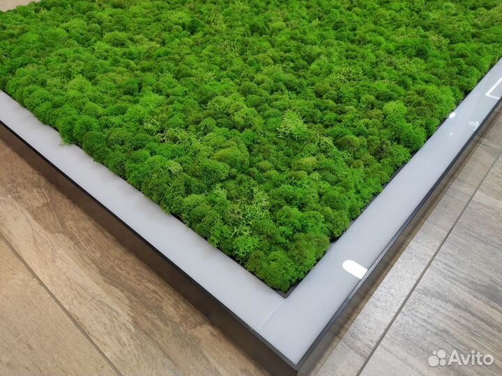 Люстра LED Квадратная со мхом Ягель 40W 540mm