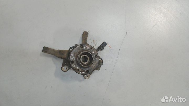 Ступица (кулак, цапфа) Renault Clio, 2010