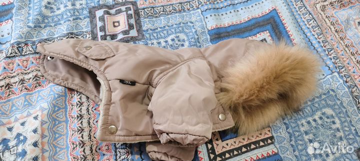 Зимняя куртка для собаки