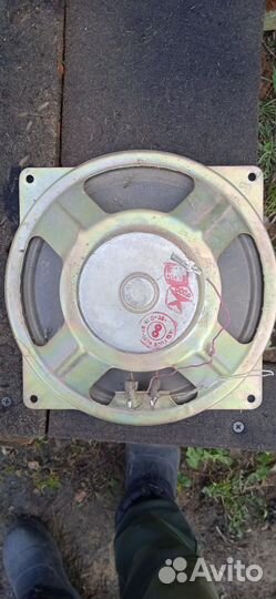 Динамик СССР