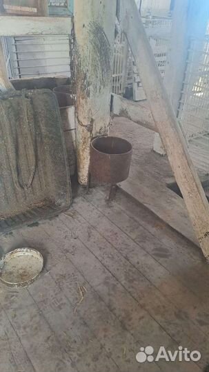 Поилка кормушка