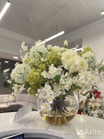 Интерьерные цветы