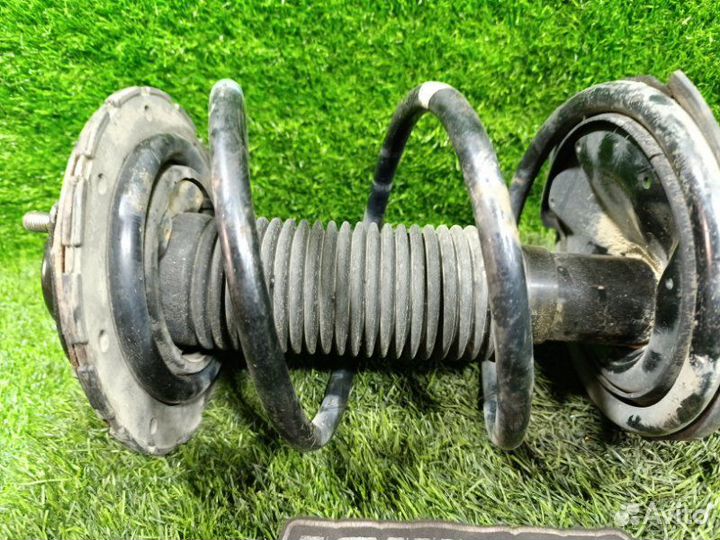 Стойка передняя левая Nissan Teana J31