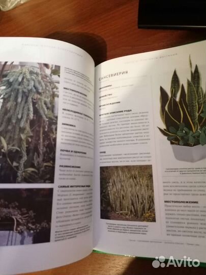 Книги Кактусы, Фиалка, Садовник