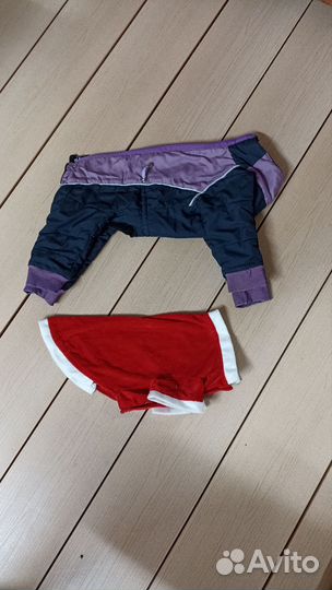 Одежда для собак