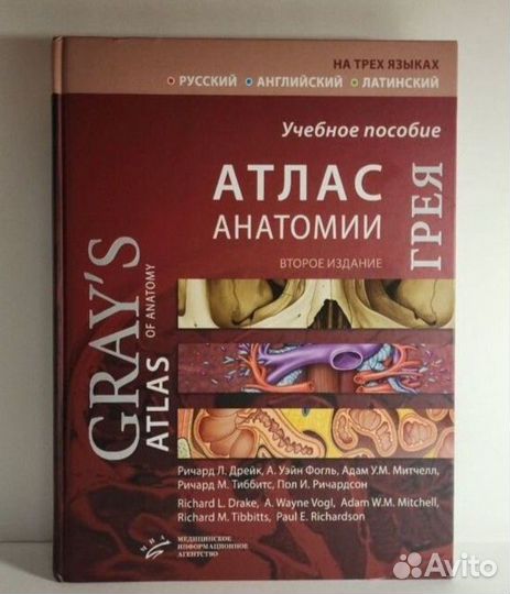 Атлaс aнатомии Грея