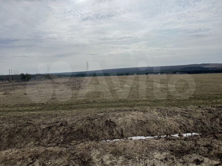 Участок 77 га (СНТ, ДНП)