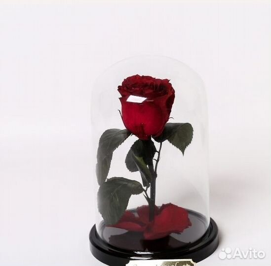 Роза в колбе