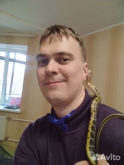 Аренда змей час, день, неделя. Фотосессия